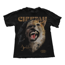 Cheetah