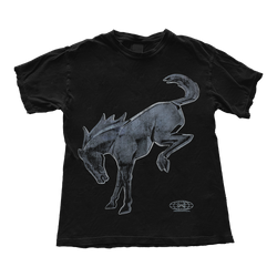 Bronco