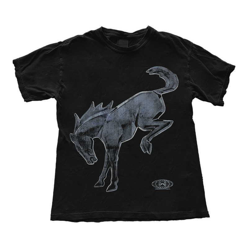 Bronco