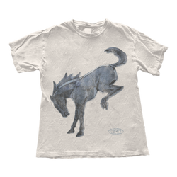 Bronco