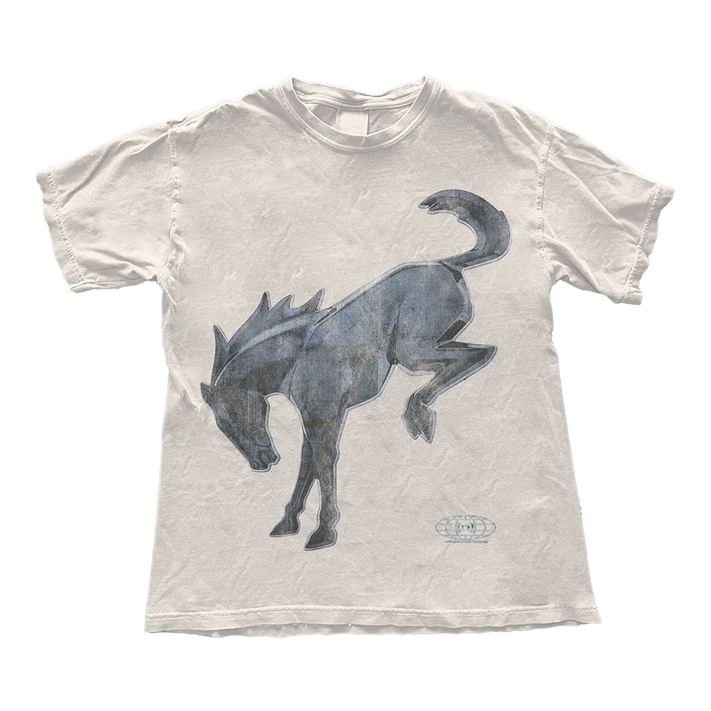 Bronco