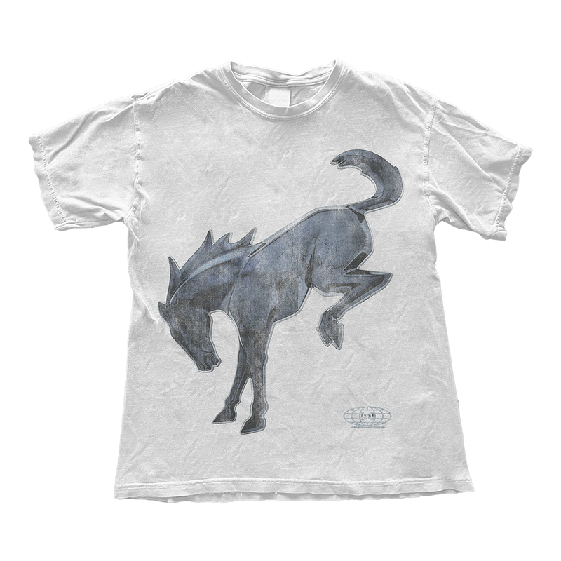 Bronco