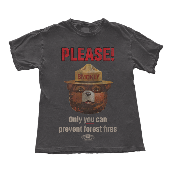 Only You Can Prevent Wildfires