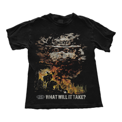 What Will It Take?