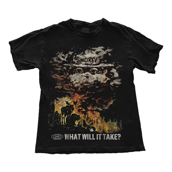 What Will It Take?