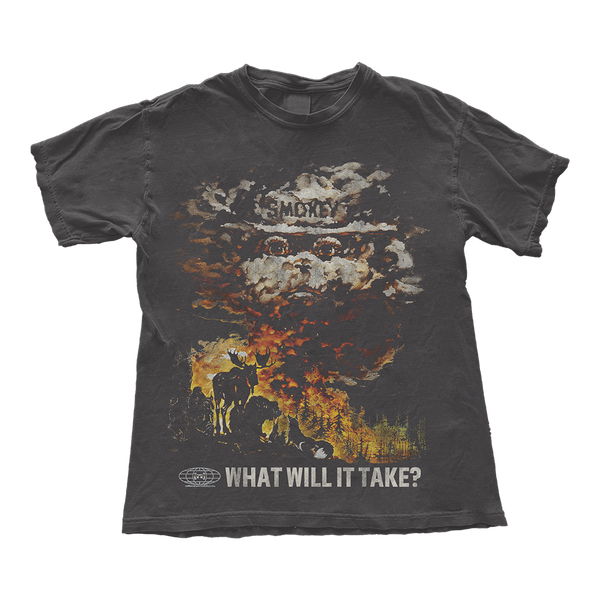 What Will It Take?
