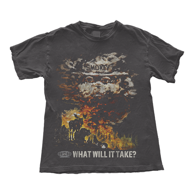 What Will It Take?